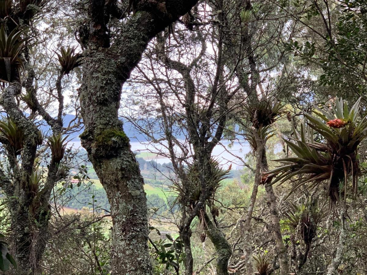 Mirador Bosque Gran Torino Neusa Cogua Kültér fotó