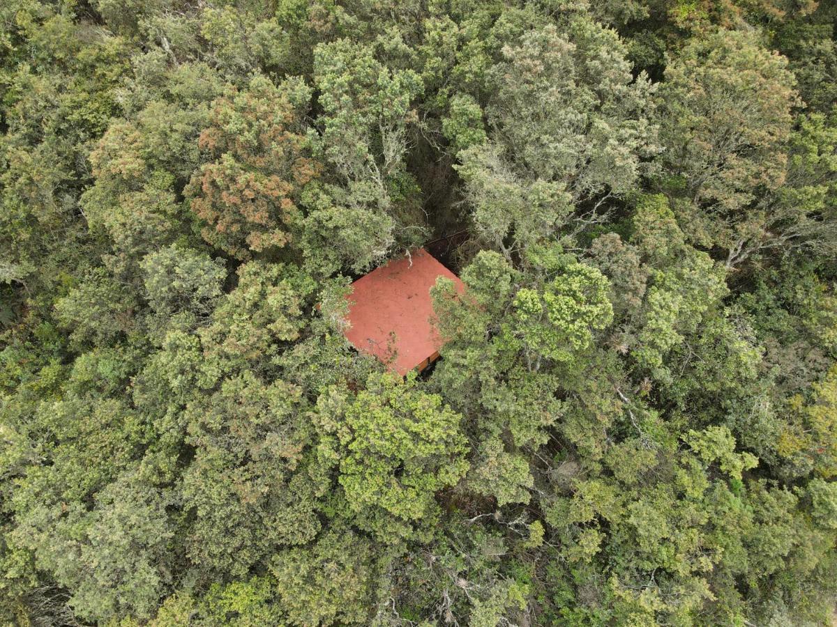 Mirador Bosque Gran Torino Neusa Cogua Kültér fotó