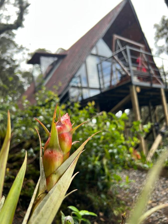 Mirador Bosque Gran Torino Neusa Cogua Kültér fotó