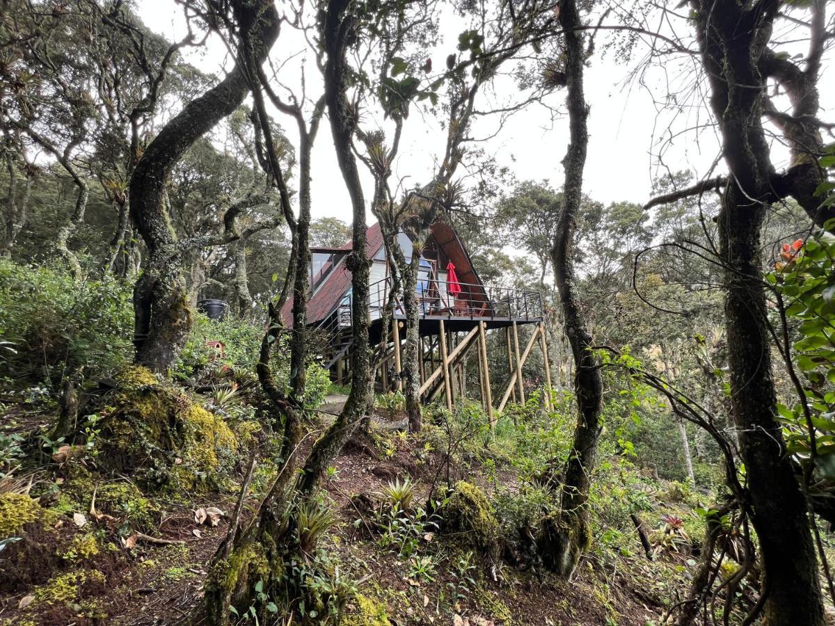 Mirador Bosque Gran Torino Neusa Cogua Kültér fotó