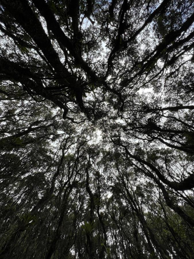Mirador Bosque Gran Torino Neusa Cogua Kültér fotó