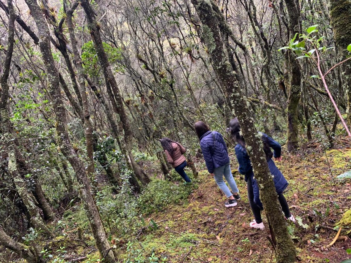 Mirador Bosque Gran Torino Neusa Cogua Kültér fotó